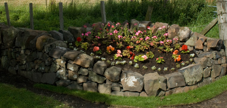 Example of Dry stone walling in Scotland