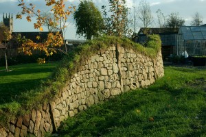 Wonky Wall, Collessie