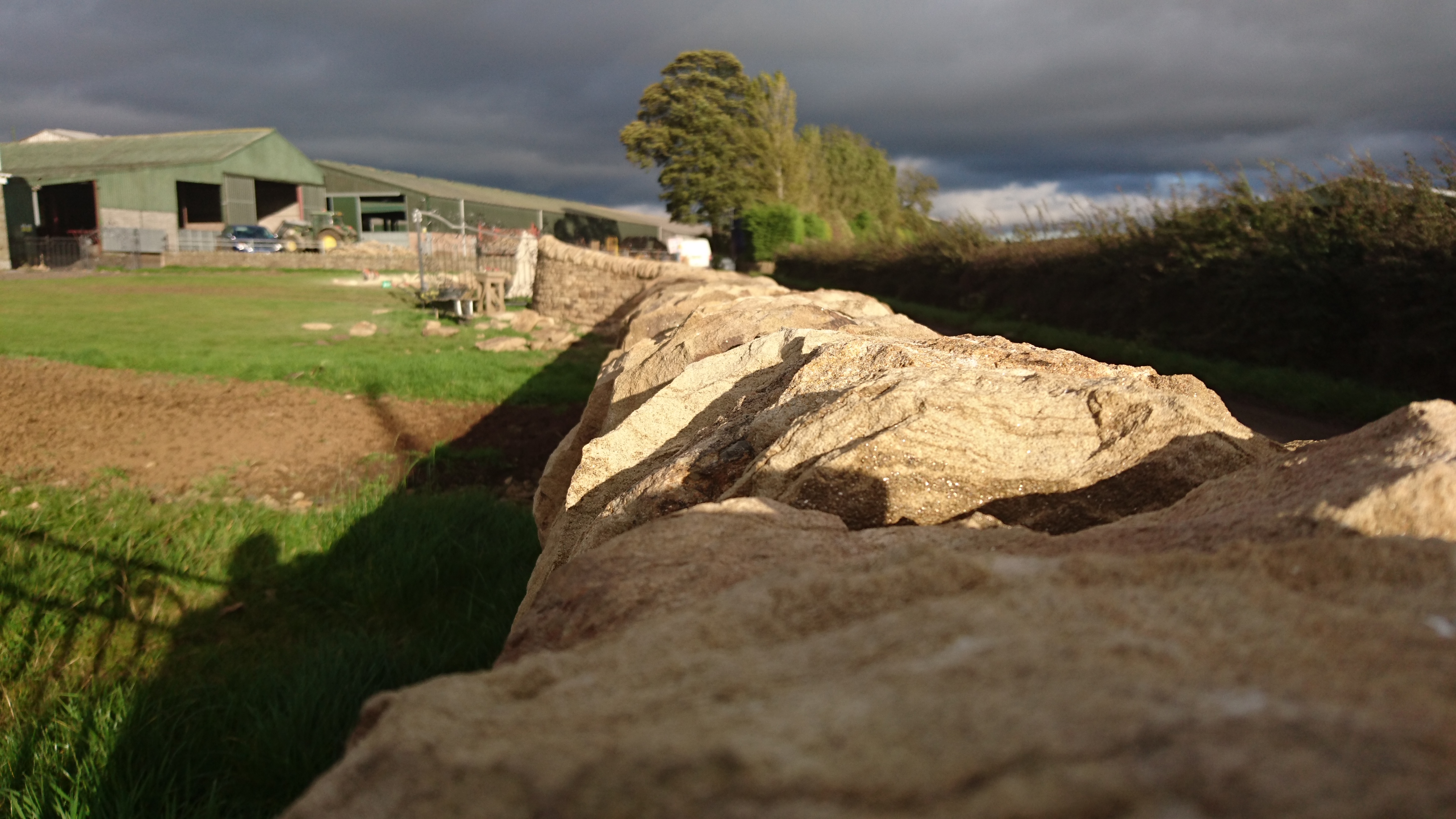 Ceres Fife free-standing dry stone boundary wall