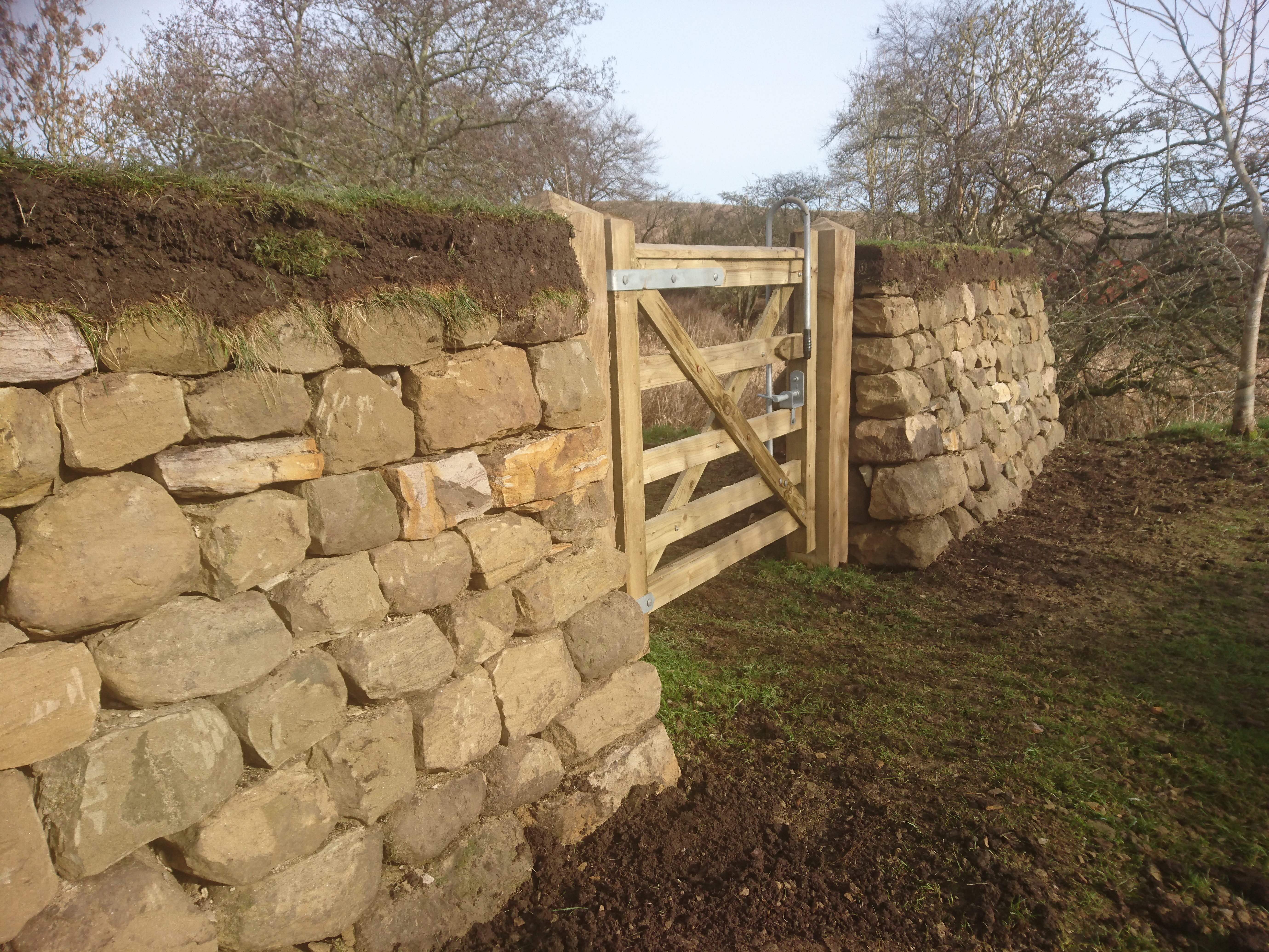 Free-standing dry stone walls