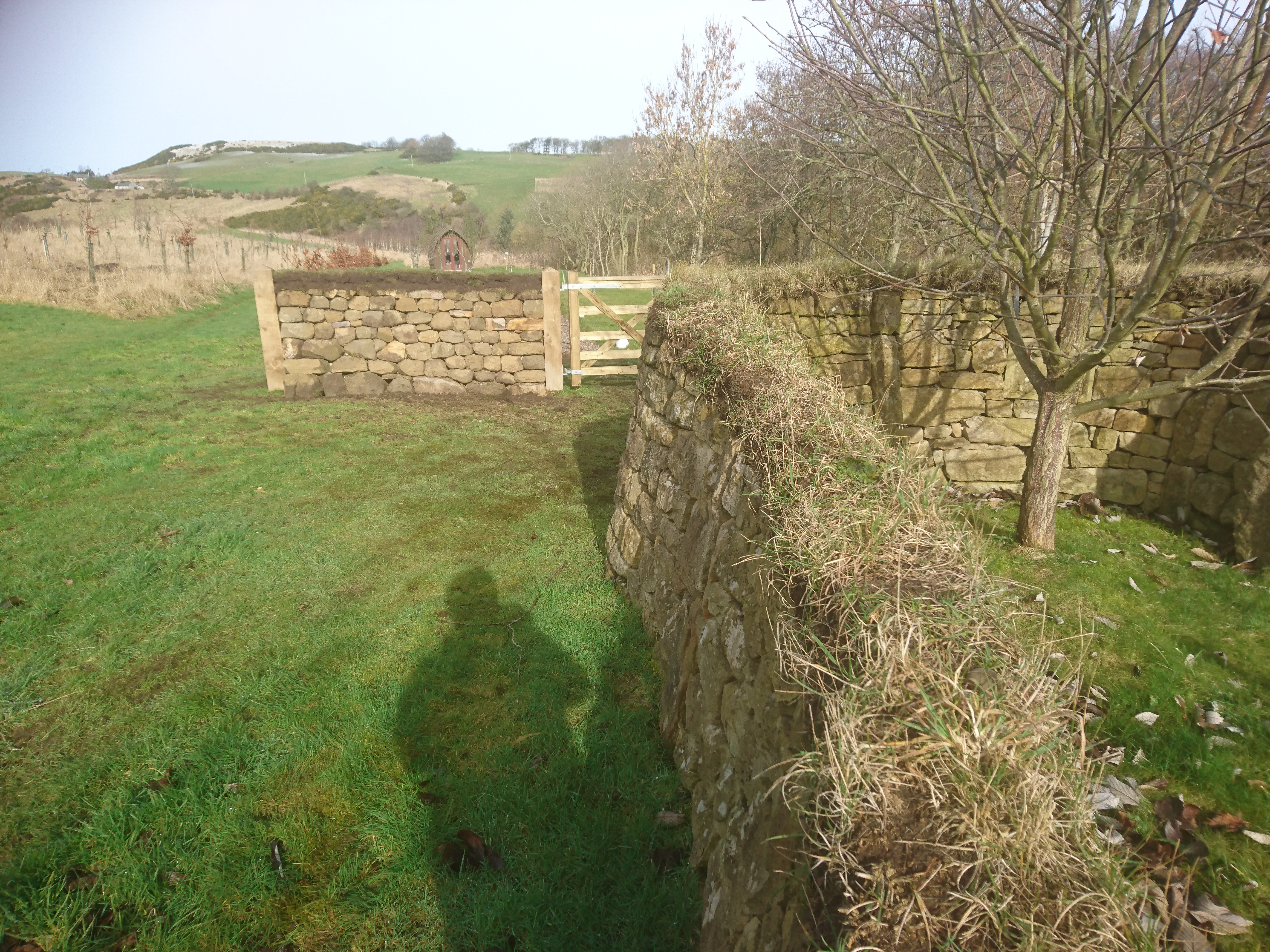 Free-standing dry stone walls