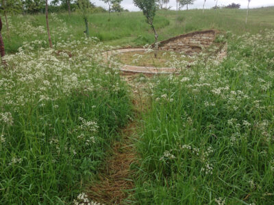 Dry stone bench with turf top and path