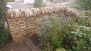 Cairneyhill drystone wall