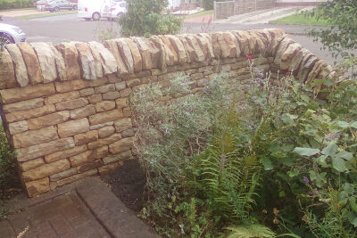 Cairneyhill drystone wall