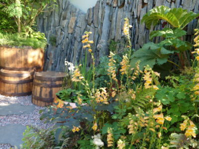 The Still Garden Chelsea Flower Show 2022