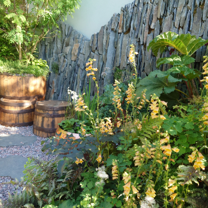 The Still Garden Chelsea Flower Show 2022