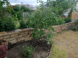 Garden stone wall in Edinburgh