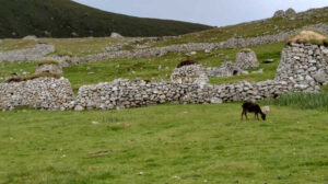 St Kilda image