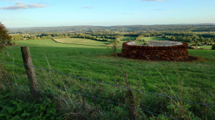 Inspired Stone - Stonework - Coccolith - Surrey