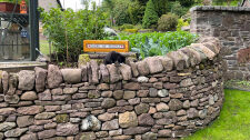 Dry stone wall in Braco, Perthshire