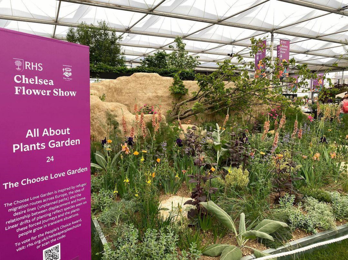 Choose Love garden at the Chelsea Flower Show