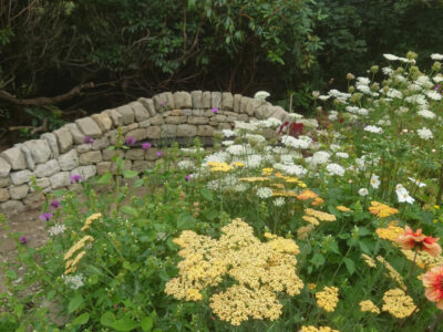 Rosewell garden dry stone wall