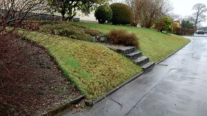 Stirling front garden dey stone terraces