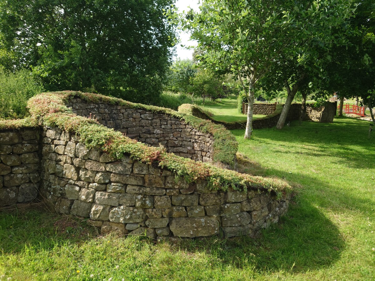 Collessie, Fife - new sedum cap